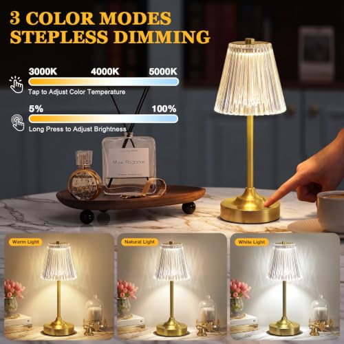 Gold Cordless Rechargeable Table Lamp (2 Count)