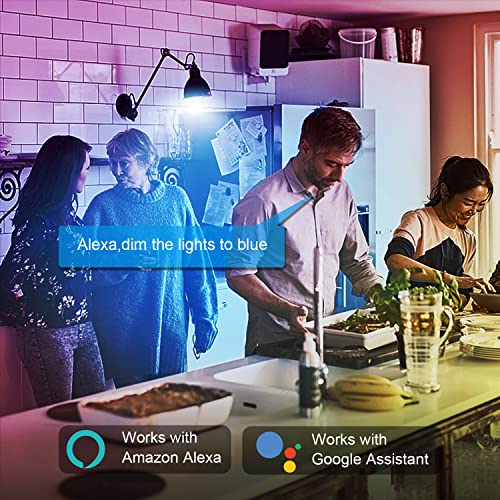 Smart Light Bulbs (2 Count)