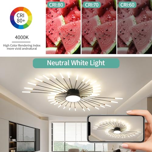 Modern Ceiling Light