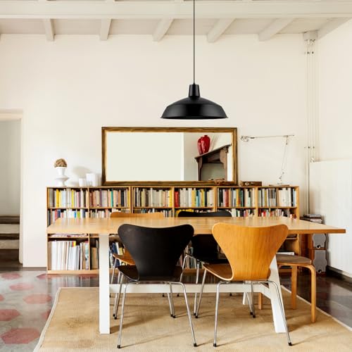 65155 1 Light Industrial Warehouse Pendant Lighting