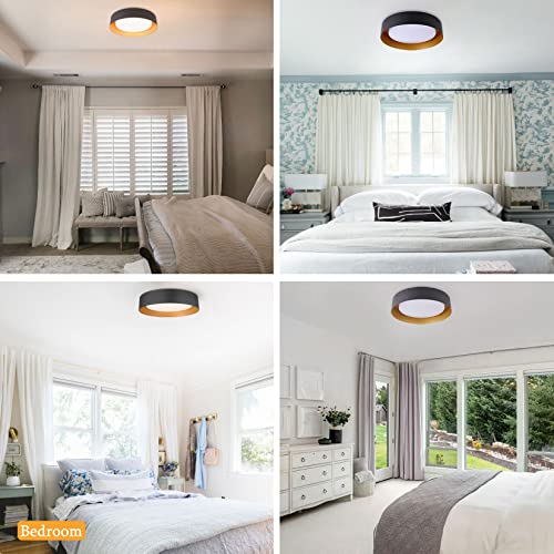 16.5 Inch Flush Mount Ceiling Light