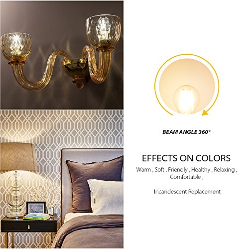 G14 LED Filament Light Bulb (12 Count)