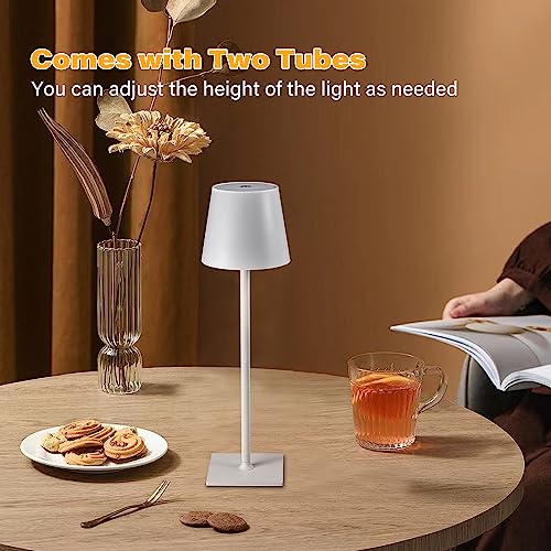 2 Pack Cordless Table Lamps (2 Count)