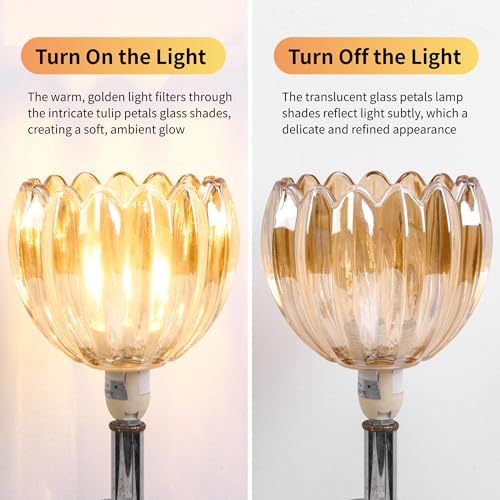 Amber Tulip Glass Lamp Shades 3Pcs (3 Count)