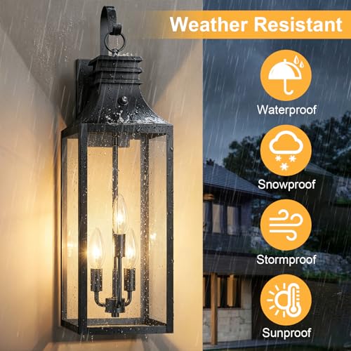 2 Pack Exterior Lighting Fixtures (2 Count)