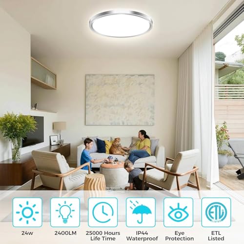 2Pack LED Ceiling Light Fixture (2 Count)