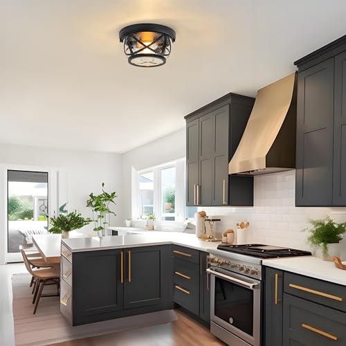 Flush Mount Ceiling Light Fixture Black