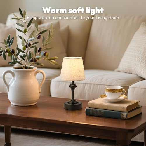 Portables Cordless Table Lamp Set of 2 (2 Count)