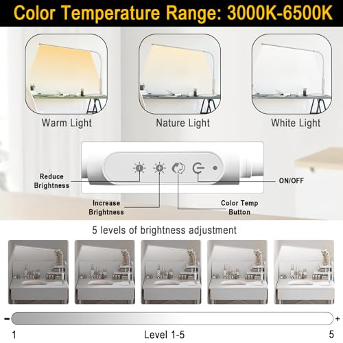 LED Desk Lamp