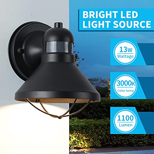 Dusk to Dawn Motion Sensor Outdoor LED Porch Wall Light Fixture