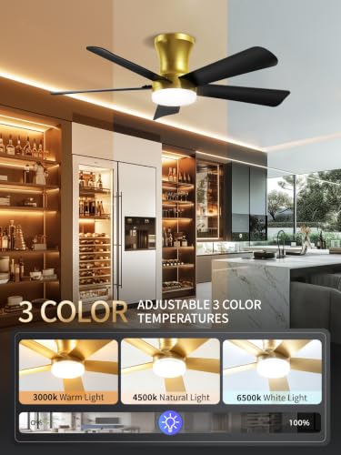 42 Inch Black Gold Low Profile Ceiling Fan with Light and Remote (Gold Black / 42 Inch)