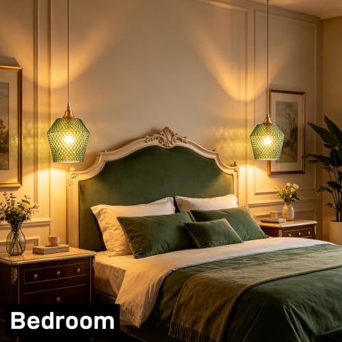 2Pcs Small Glass Lamp Shades (2 Count)