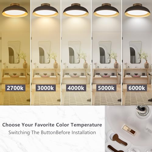 Flush Mount Ceiling Light