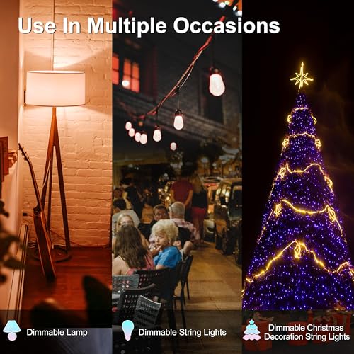 Outdoor Dimmer for String Lights
