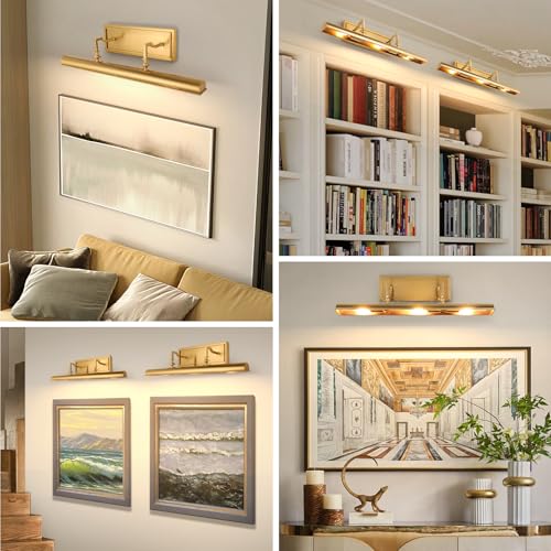 24 Inch Picture Light for Wall