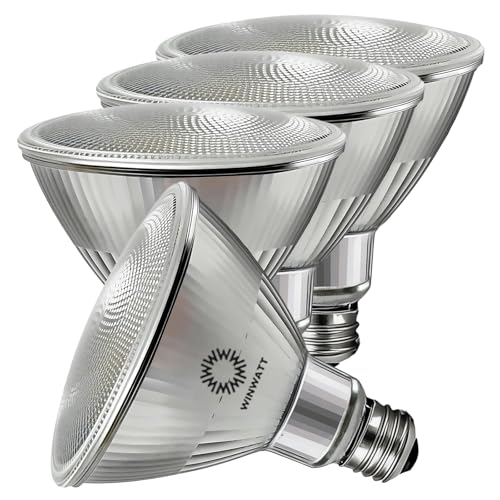 LED Light Bulbs PAR38 Full Glass (4 Count)