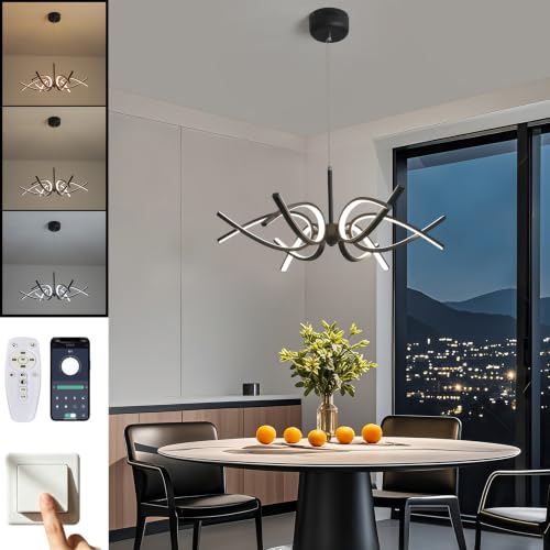 Modern LED Ceiling Light Fixture