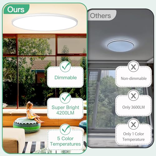 19 Inch Dimmable Large Flush Mount Ceiling Light Fixture
