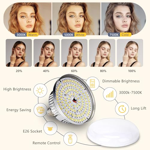 Softbox Photography Lighting Kit