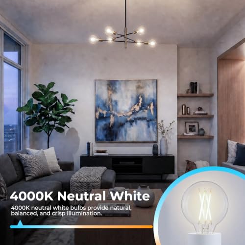 G16.5 Globe LED Bulb Dimmable