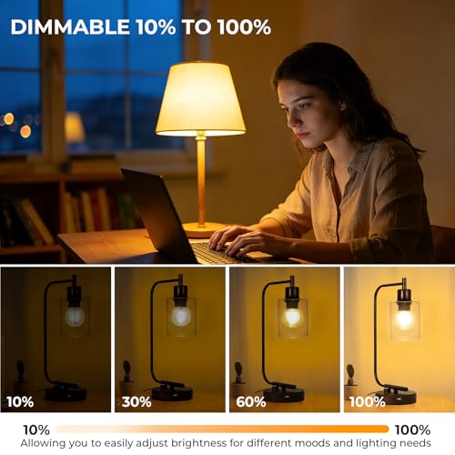 E26 G16.5 Edison LED Globe Bulb (12 Count)