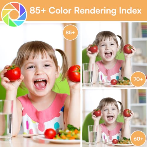 A19 LED Light Bulbs (24 Count)
