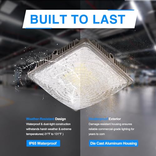 LED Canopy Light 60W (60W 6PACK)