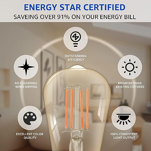 60 Pack Dimmable Vintage E26 LED Light Bulb (60 Count)