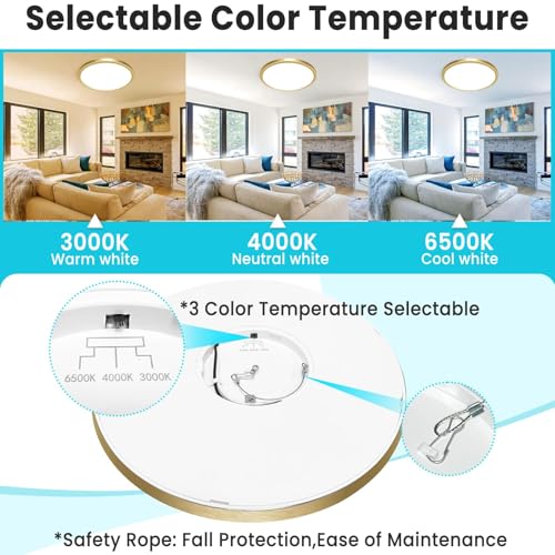 12 Inch LED Ceiling Light Golden