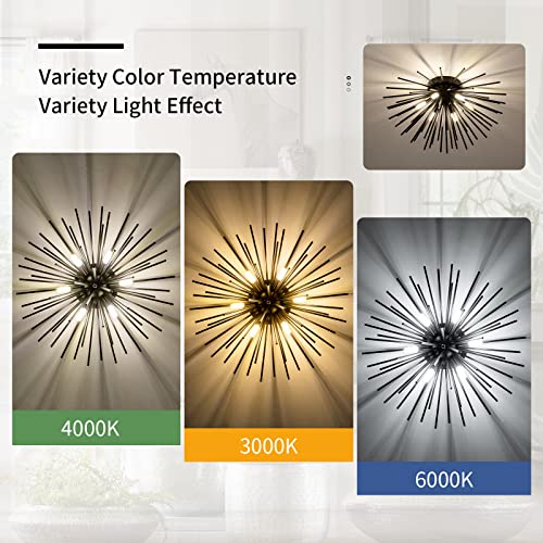 Black Flush Mount Ceiling Lights