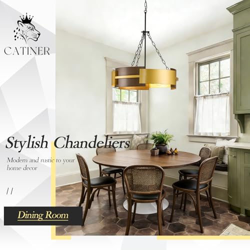 24" 6 Light Industrial Drum Chandelier with Gold Metal