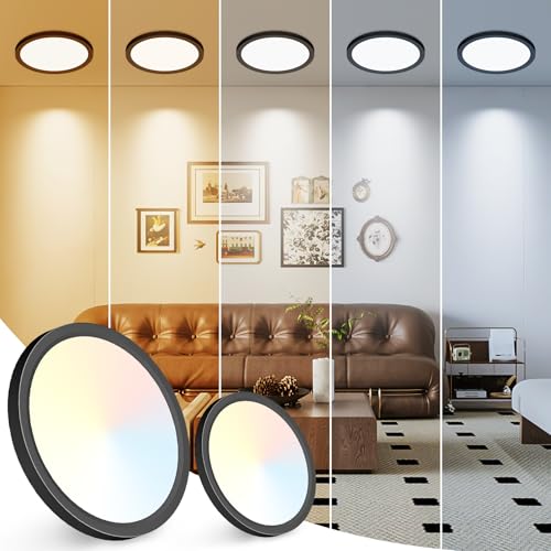 7 inch LED Ceiling Light (2 Count)