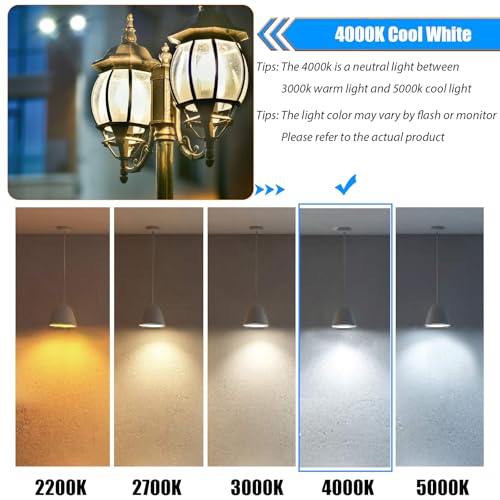 12 Pack 4000K Cool White Dimmable LED Light Bulbs 40W Equivalent (12 Count)