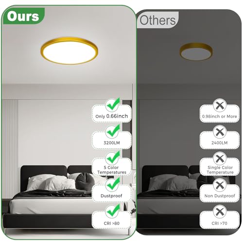 2Pack LED Flush Mount Ceiling Light (2 Count)