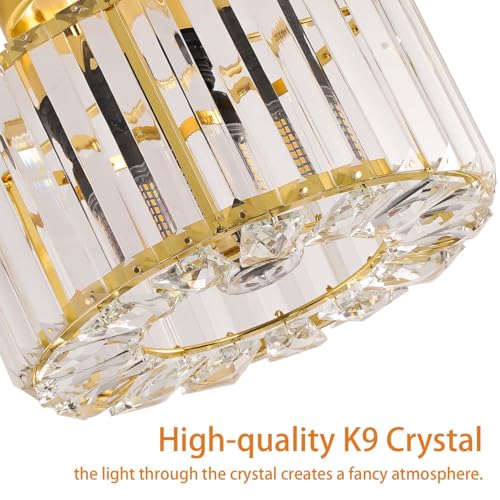 Crystal Ceiling Light