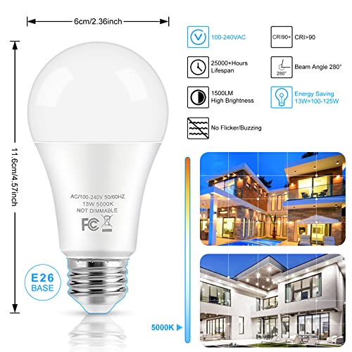 LED Light Bulbs (30 Count)
