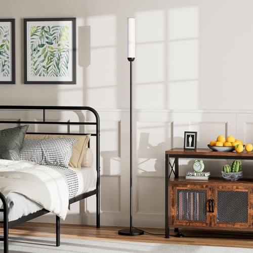 LED Floor Lamp with Remote Control