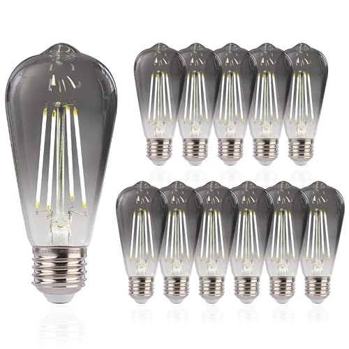LED Edison Bulbs (12 Count)