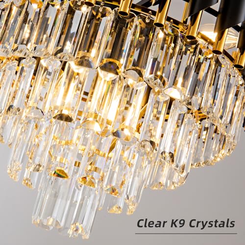 Modern Chandelier Gold and Black Crystal Chandeliers 4
