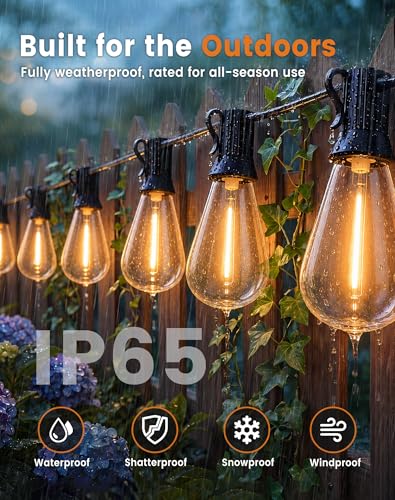 Outdoor String Lights 30FT (24+6FT(12 Sockets))