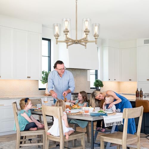 6 Light Rustic Farmhouse Chandelier
