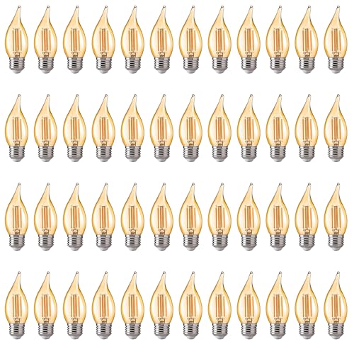 CA11 E26 LED Candelabra Bulbs (48 Count)