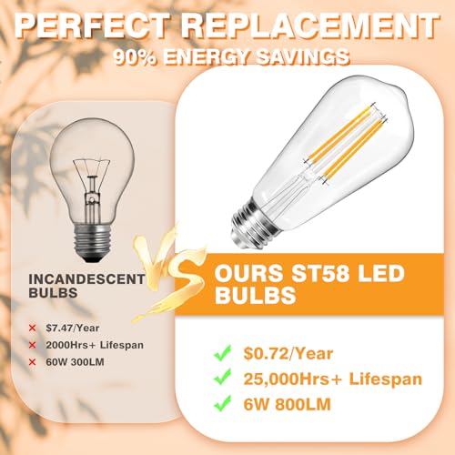 8W 800LM Vintage LED Edison Bulbs (6 Count)