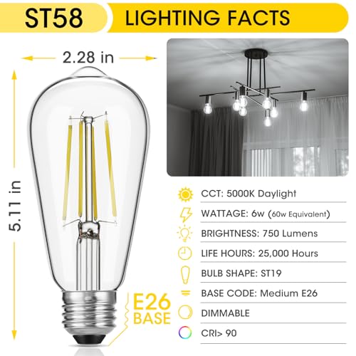 Dimmable Vintage LED Edison Bulb 60W Equivalent (24 Count)