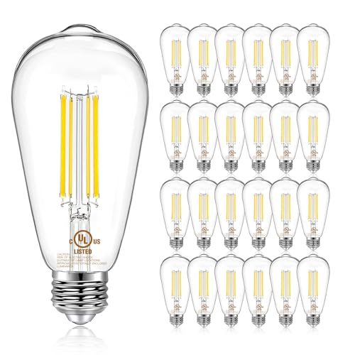 24 Pack Vintage LED Edison Bulbs (24 Count)