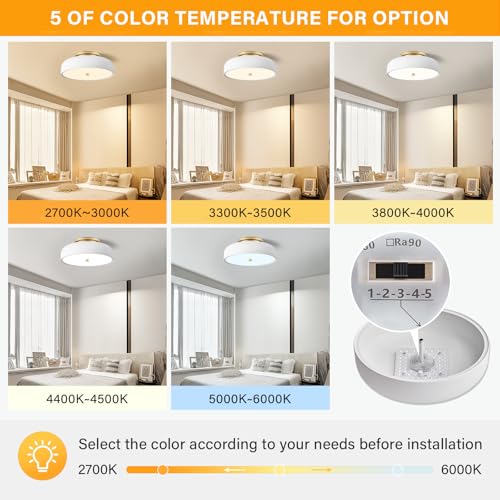 Dimmable LED Ceiling Light Fixture