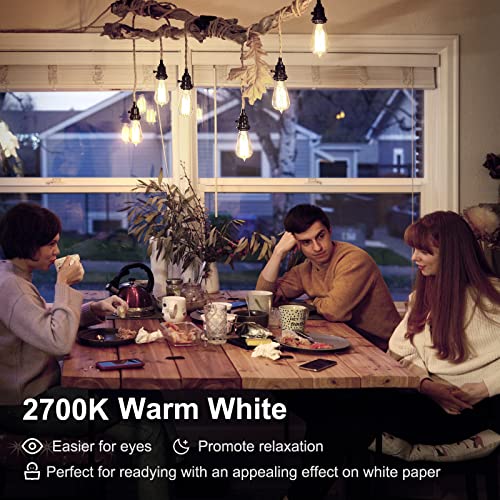 4 Pack Edison LED Light Bulbs (4 Count)