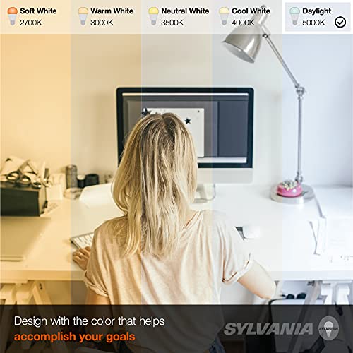 Sylvania LED Light Bulb