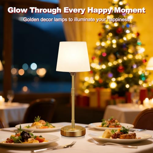 Cordless Table Lamps Set of 2 (2 Count)