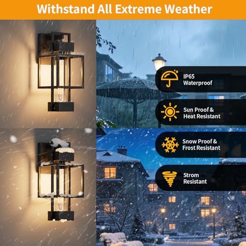 2 Pack Dusk to Dawn Outdoor Exterior Lighting Fixtures Wall Mount (2 Count)